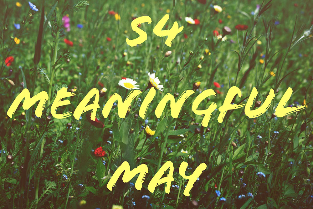 Meaningful May Programme for S4